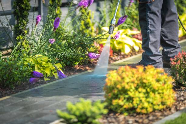 Best Boat and Dock Cleaning  in Kalama, WA