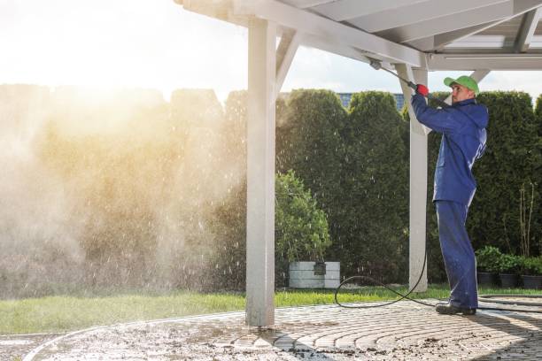 Best Soft Washing  in Kalama, WA